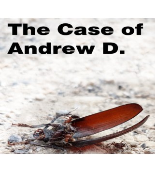 The Case of Andrew D. Steam Key GLOBAL